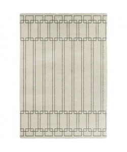 CONTINENTAL Tapis de salon laineux 120X170 cm Creme et Gris