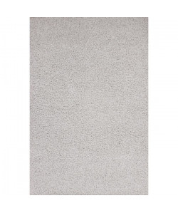 RELAX Tapis de salon Shaggy gris 120x170 cm