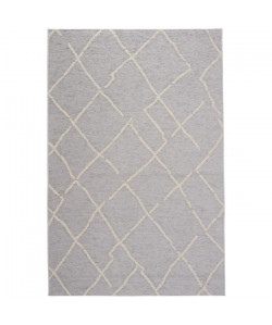 ROSEGARDEN Tapis aspect luxueux chenille  Intérieur et extérieur  160X230 cm  Laine / Gris