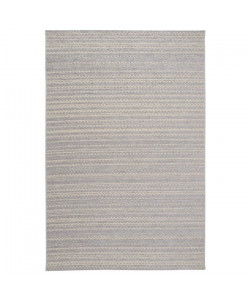 ROSEGARDEN Tapis aspect luxueux chenille  Intérieur et extérieur  160X230 cm  Laine / Gris