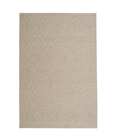 ROSEGARDEN Tapis aspect luxueux chenille  Intérieur et extérieur  160X230 cm  Laine / Sable