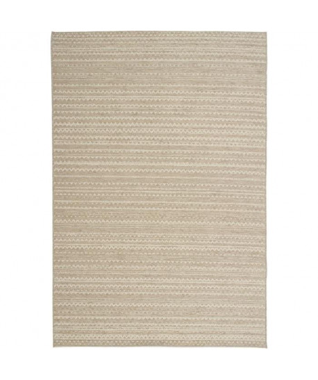 ROSEGARDEN Tapis aspect luxueux chenille  Intérieur et extérieur  120X170 cm  Laine / Sable