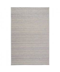 ROSEGARDEN Tapis aspect luxueux chenille  Intérieur et extérieur  120X170 cm  Laine / Gris