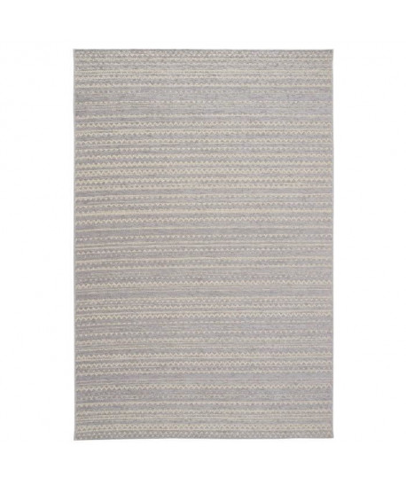 ROSEGARDEN Tapis aspect luxueux chenille  Intérieur et extérieur  120X170 cm  Laine / Gris