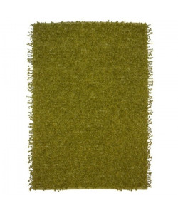 CLOCHETTE SHAGGY Tapis 120x170cm Vert