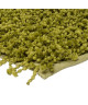 CLOCHETTE SHAGGY Tapis 120x170cm Vert