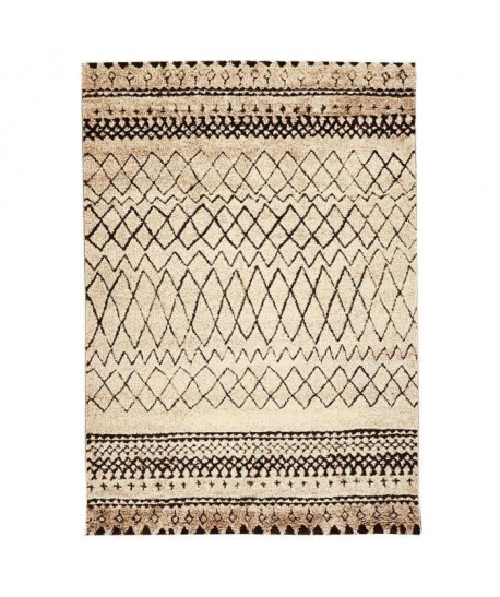 ASMA Tapis de salon style Berbere en polypropylene  160x230 cm  Beige et Marron / Noir