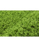 TRENDY Tapis de salon shaggy 160x230 cm 30mm Vert