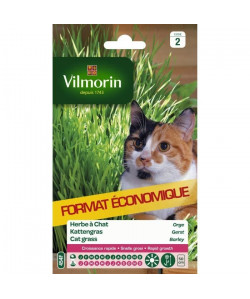 VILMORIN Sachet graines d\'herbe a chat Orge