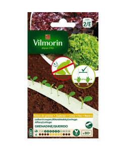 VILMORIN Ruban mélange graines Duo de laitues a couper  2 x 2 m