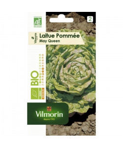 VILMORIN Graines de laitue pommée Reine de Mai