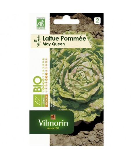 VILMORIN Graines de laitue pommée Reine de Mai