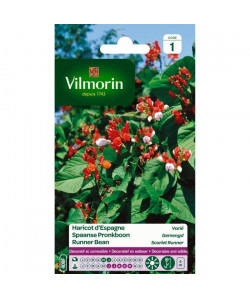 VILMORIN Haricot d\'Espagne varié