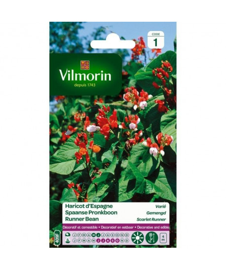 VILMORIN Haricot d\'Espagne varié