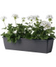 DEROMA Jardiniere Miramare  40 x 17 x H 14,5 cm  6 L  Gris anthracite