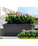 DEROMA Jardiniere Miramare  40 x 17 x H 14,5 cm  6 L  Gris anthracite