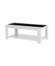 DAMIA Table basse style contemporain blanc et noir mat  L 110 x l 55 cm