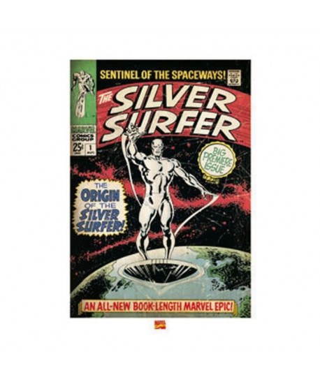 Affiche papier   Silver Surfer (The Origin)   Anonyme    60x80 cm