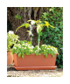 DEROMA Jardiniere Miramare  40 x 17 x H 14,5 cm  6 L  Terre rouge