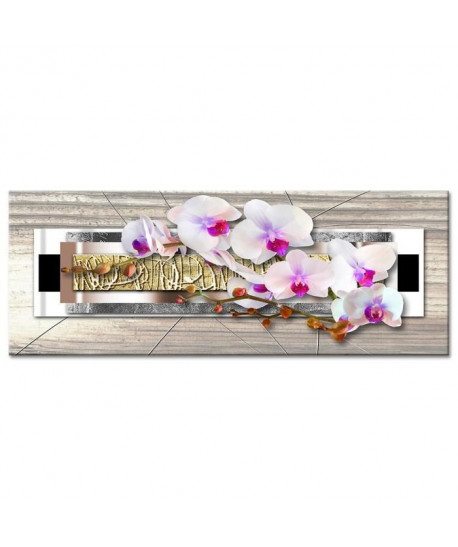 Tableau Déco Panoramique Déco Zen Orchidées  Zen  80x30 cm