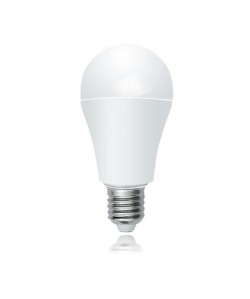 Ampoule LED avec capteur de lumiere E27 10 W équivalent a 100 W blanc neutre