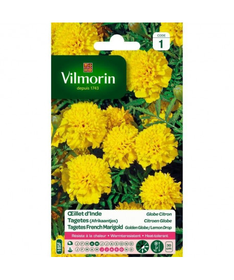 VILMORIN oeillet d\'Inde Globe citron