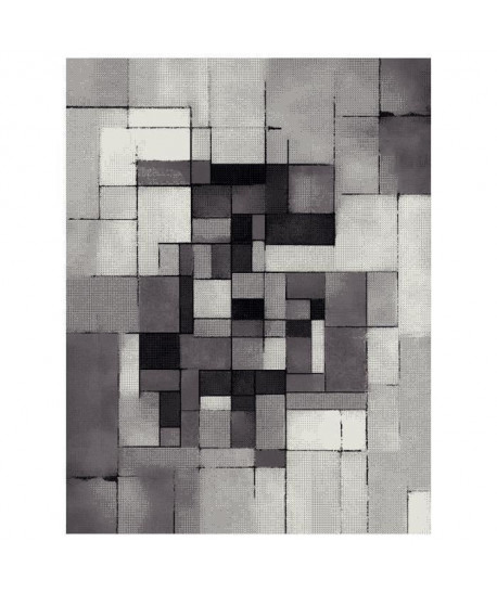 BELIS Tapis de salon contemporain 160x230 cm  Gris, Blanc et Noir