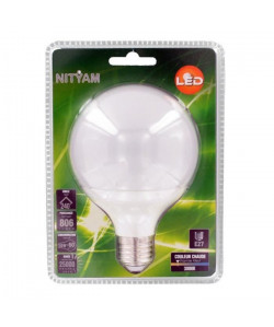 NITYAM Ampoule globe Led E27 10W équivalent a 60W