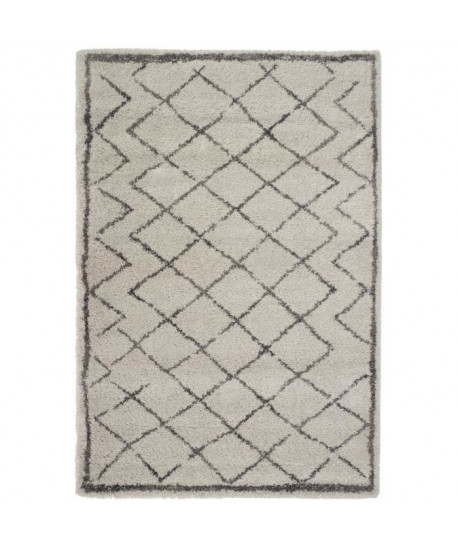 BERBERE Tapis de salon 120x170 cm beige et gris