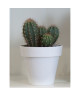 Pot a fleurs 26 Cm Collection LIMITED  Blanc