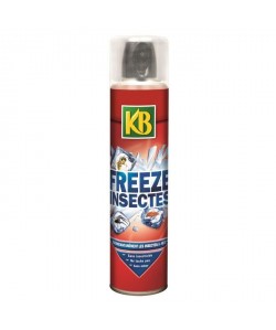 KB Freeze insectes aérosol  300 ml