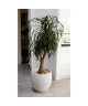 EDA Pot rond Graphit Ř50cm  Contenance 46L  Blanc cérusé