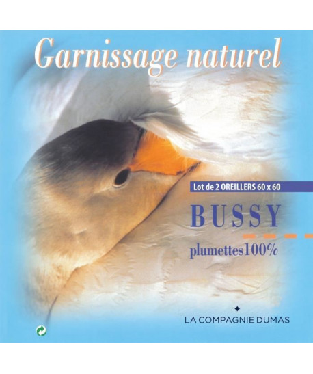 LA COMPAGNIE DUMAS Lot de 2 oreillers en Plumes 60x60cm