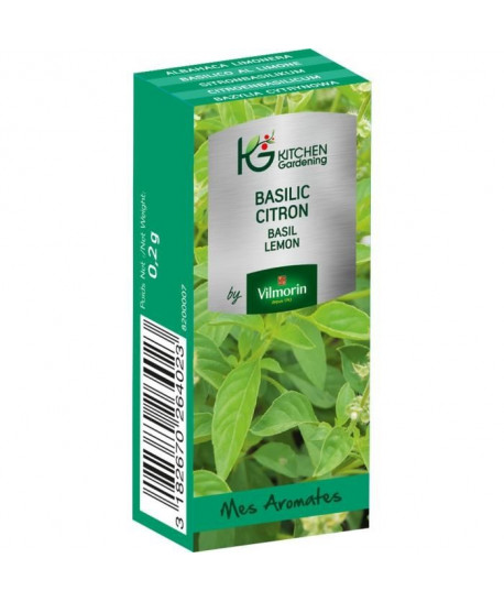 KITCHEN GARDENING Graines de basilic citron