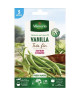 VILMORIN Graines de haricot vanilla  5 M