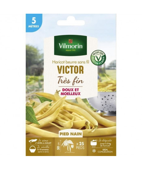 VILMORIN Graines de haricot victor  5 M