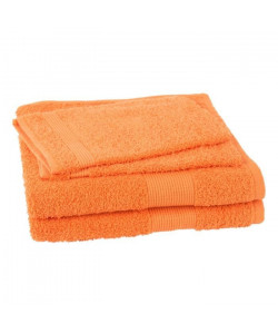 JULES CLARYSSE Lot de 2 serviettes  2 gants de toilette Viva  Orange