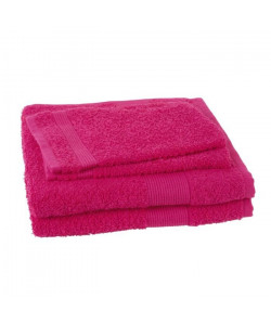JULES CLARYSSE Lot de 2 serviettes  2 gants de toilette Viva  Rose