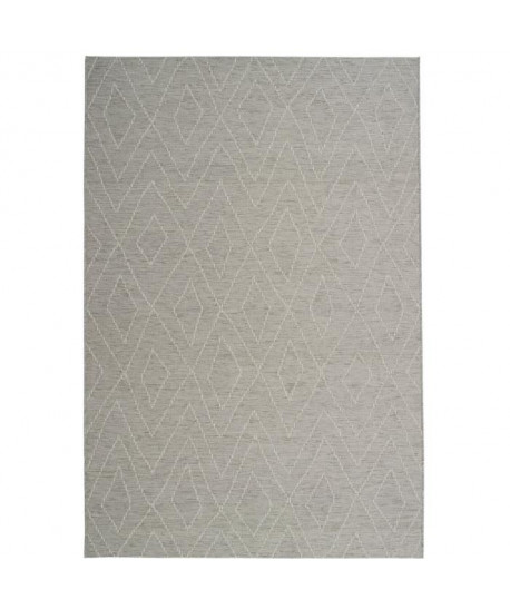 ROSEGARDEN Tapis aspect luxueux chenille  Intérieur et extérieur  160X230 cm  Laine / Gris