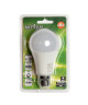 NITYAM Ampoule LED  Standard  12W  B22